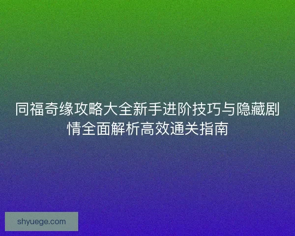 同福奇缘攻略大全新手进阶技巧与隐藏剧情全面解析高效通关指南